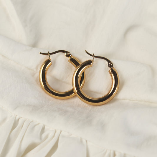 Classic Hoops Earrings